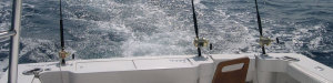 foto illustrazione Poseidon Fishing